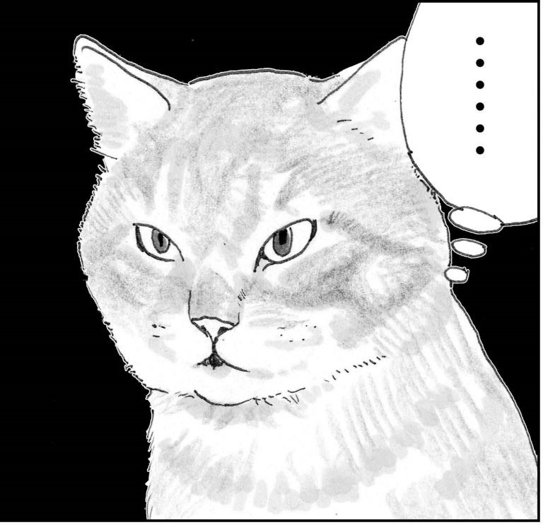 ＜猫漫画＞河原で会った「しゃべる猫」が家に来た／モンちゃんと私