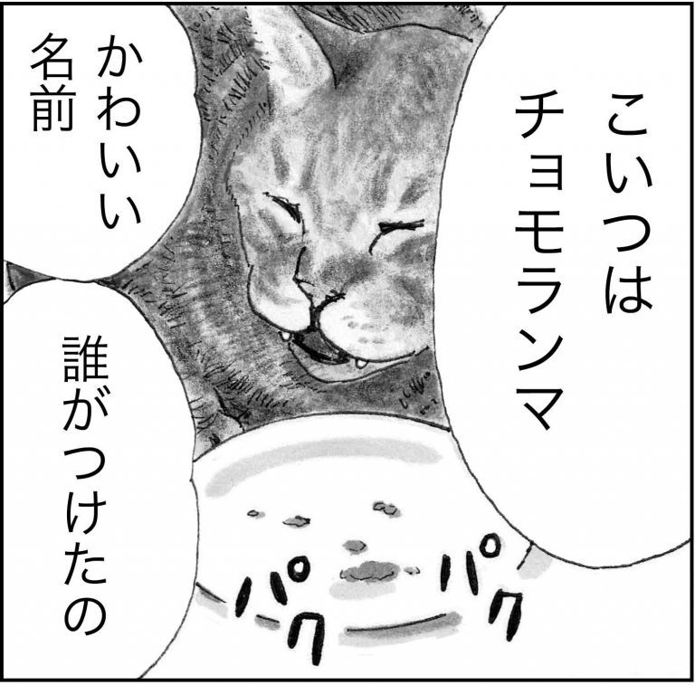 ＜猫漫画＞家にあげた「猫先生」に甘えられるミキちゃん。そこに現れたのは…？／モンちゃんと私