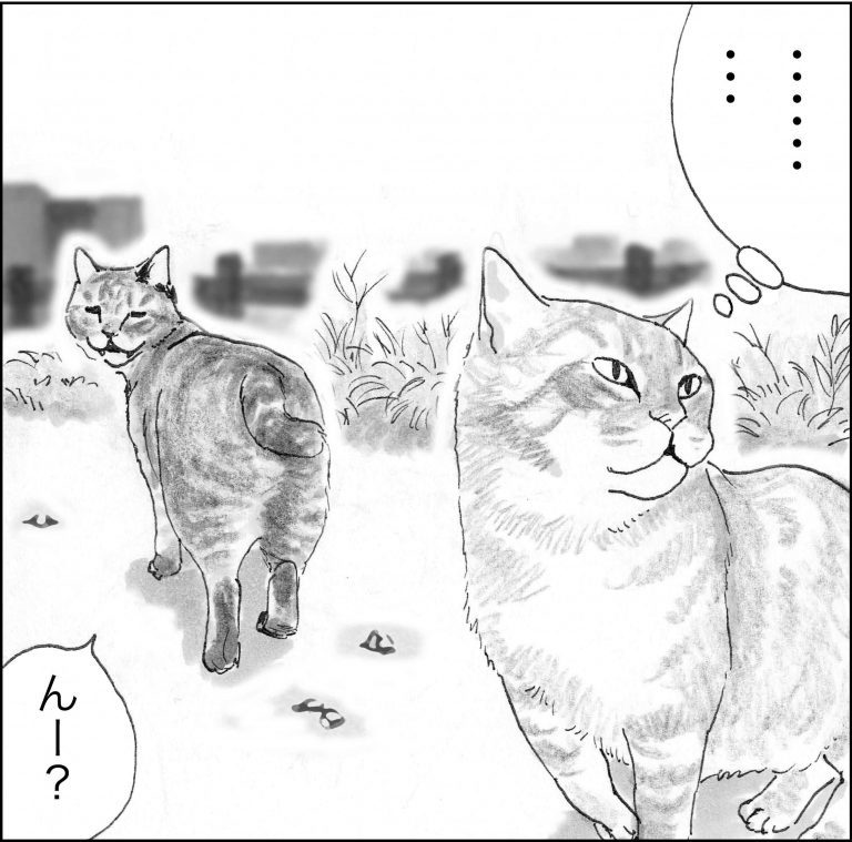 ＜猫漫画＞死んだように生きる派遣OL、猫さんの深い言葉を思い出す／モンちゃんと私