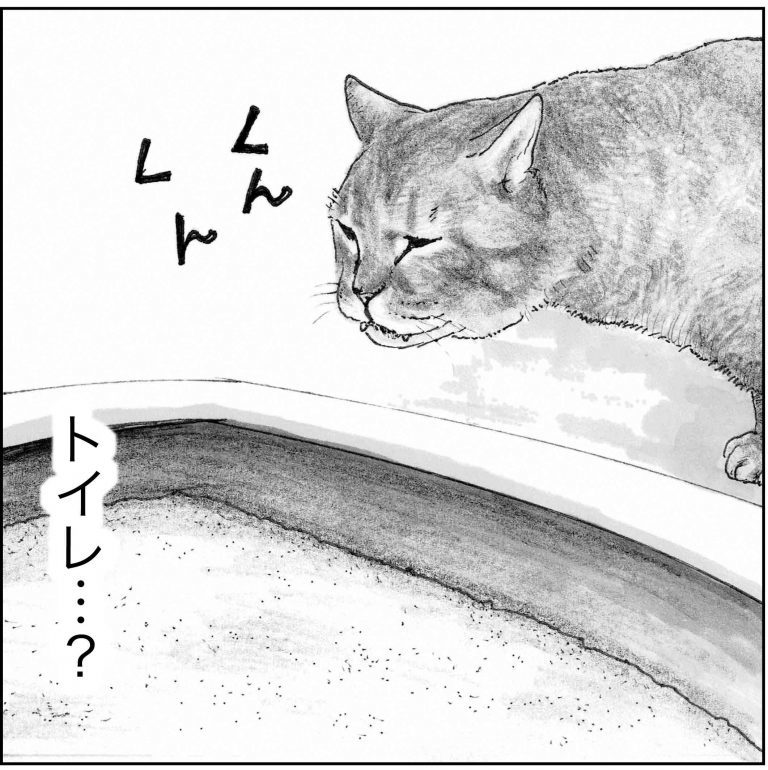 ＜猫漫画＞貧乏OLの家に棲みついた、不思議な猫たちの能力／モンちゃんと私