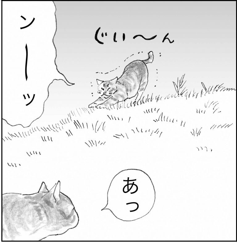 ＜猫漫画＞人間の言葉をしゃべる猫たちが、日暮れに向かう先にいたのは？／モンちゃんと私