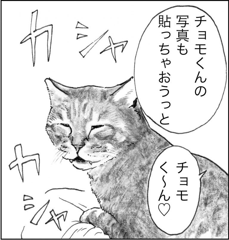 ＜猫漫画＞ツイッターでバズる”猫の名言”と秘密のニオイ!?／モンちゃんと私