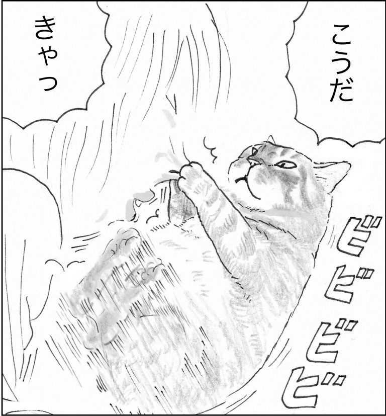 ＜猫漫画＞野良猫先生、なんとなく深い言葉を発する／モンちゃんと私