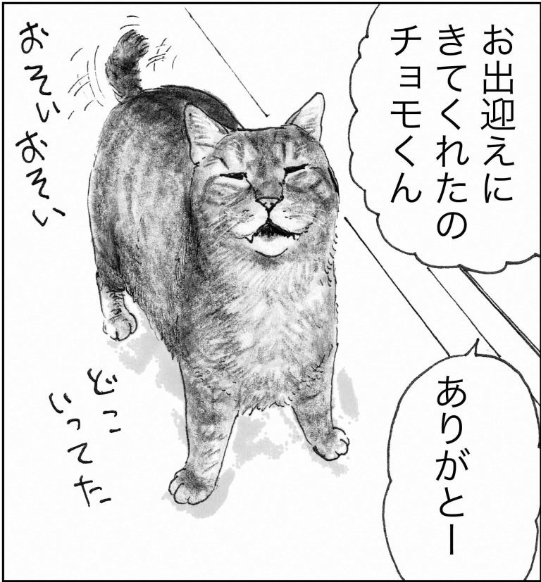 ＜猫漫画＞暗い顔で働いていた派遣OLが、最近妙に元気なワケ／モンちゃんと私