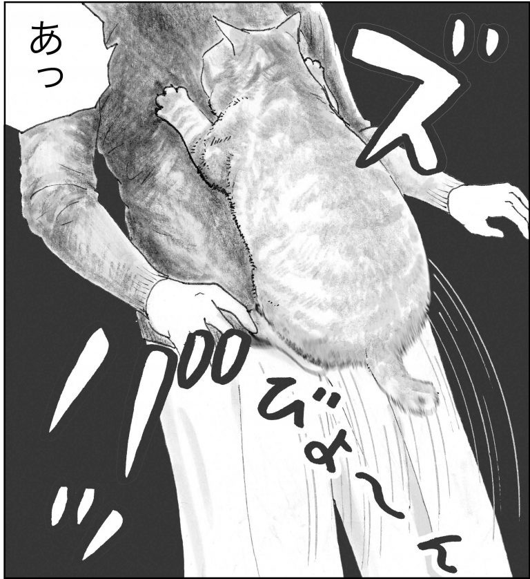 ＜猫漫画＞河原で会った「しゃべる猫」が家に来た／モンちゃんと私