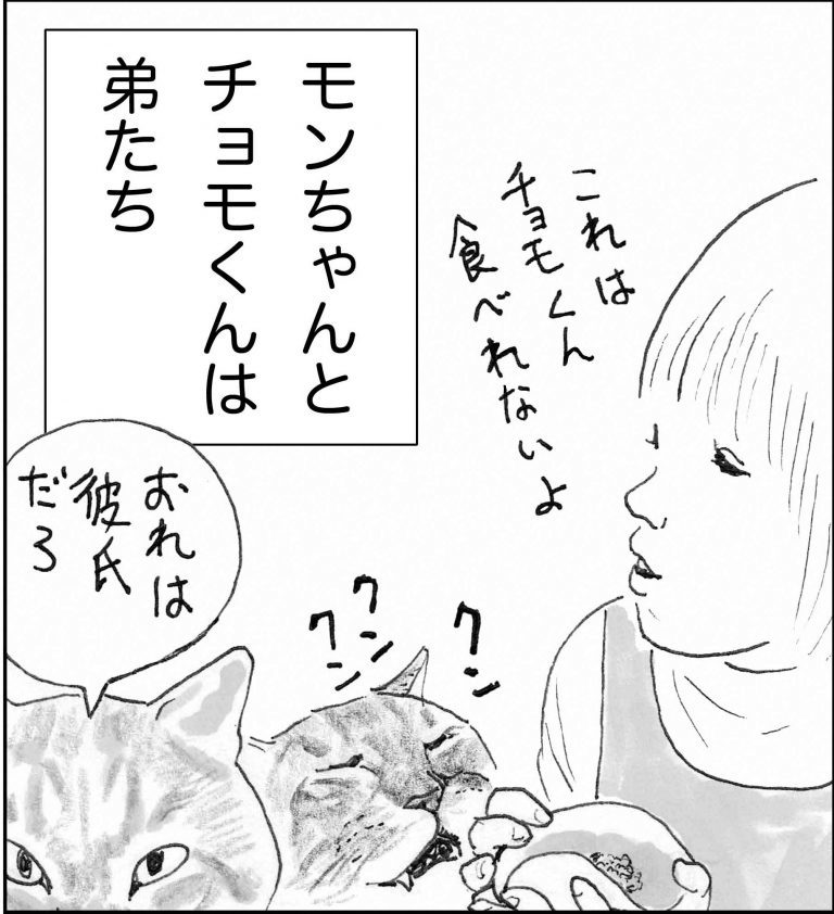 ＜猫漫画＞暗い顔で働いていた派遣OLが、最近妙に元気なワケ／モンちゃんと私