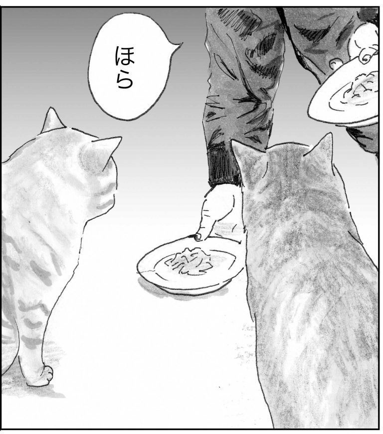 ＜猫漫画＞人間の言葉をしゃべる猫たちが、日暮れに向かう先にいたのは？／モンちゃんと私