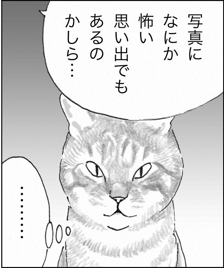 ＜猫漫画＞ツイッターでバズる”猫の名言”と秘密のニオイ!?／モンちゃんと私