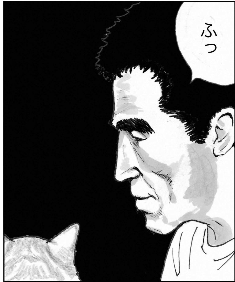 ＜猫漫画＞貧乏OLの家に棲みついた、不思議な猫たちの能力／モンちゃんと私