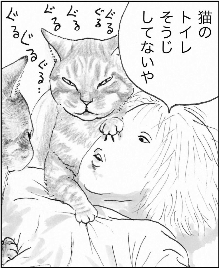 ＜猫漫画＞野良猫先生、なんとなく深い言葉を発する／モンちゃんと私