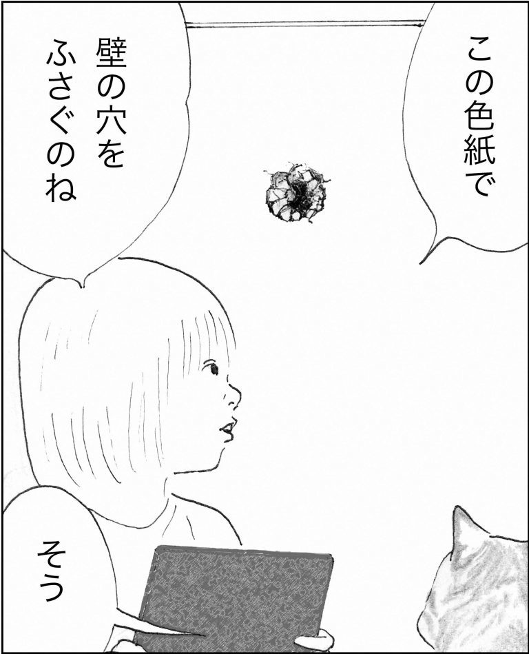 ＜猫漫画＞貧乏OLの家に棲みついた、不思議な猫たちの能力／モンちゃんと私