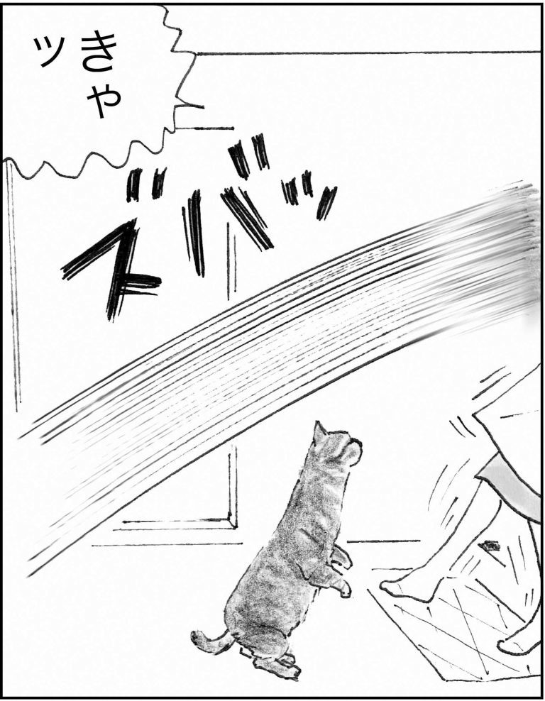 ＜猫漫画＞暗い顔で働いていた派遣OLが、最近妙に元気なワケ／モンちゃんと私