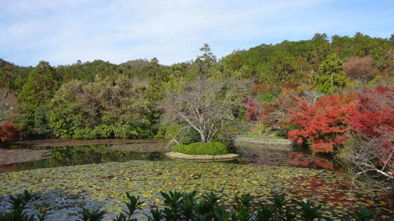 【京都】世界遺産が集まる金閣寺周辺で行きたいスポット・お店5選1.jpg