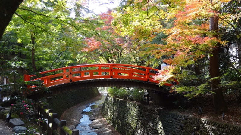 【京都】世界遺産が集まる金閣寺周辺で行きたいスポット・お店5選1.jpg