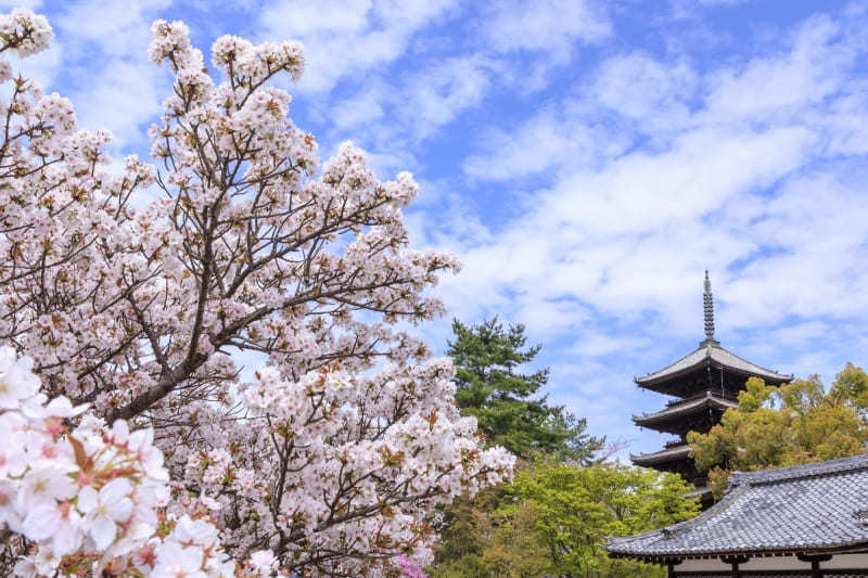 【京都】世界遺産が集まる金閣寺周辺で行きたいスポット・お店5選1.jpg