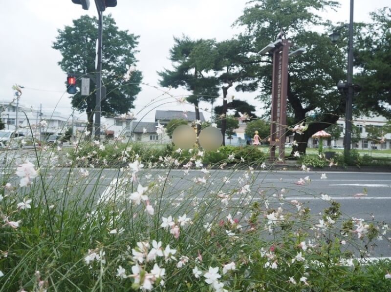 青森の三大美術館を車なしでも効率的に楽しむ徹底ガイド1.jpg