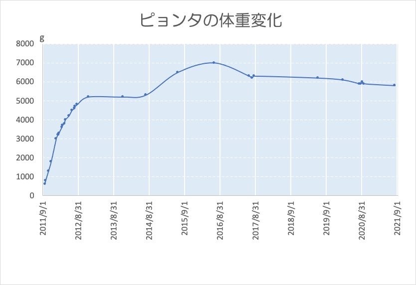 ちっちゃい野良猫の“10年後の姿”にビックリ！親はライオンかな？／2021人気記事BEST5