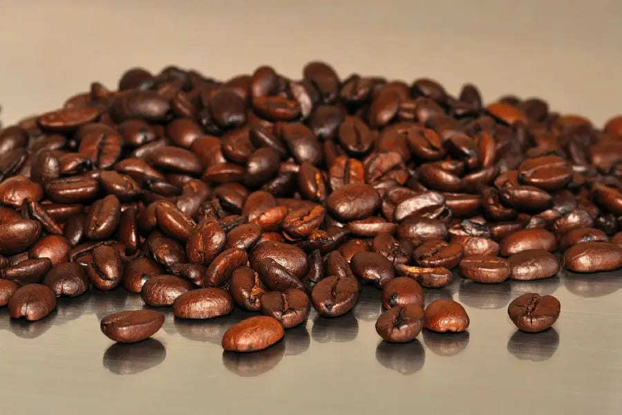 【フロリダ大学の最新研究結果】朝一杯のコーヒーが禁煙に役立つ可能性あり？