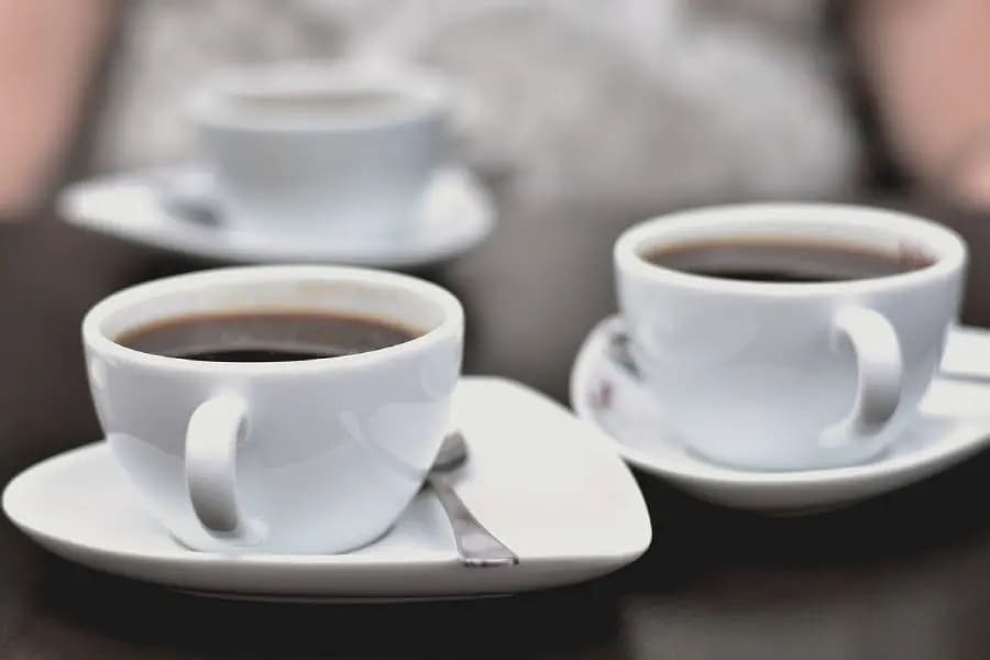 『マスターズ・オブ・コーヒー（ Masters of Coffee ）』から世界的なコーヒースペシャリストの認定プログラムが開始！